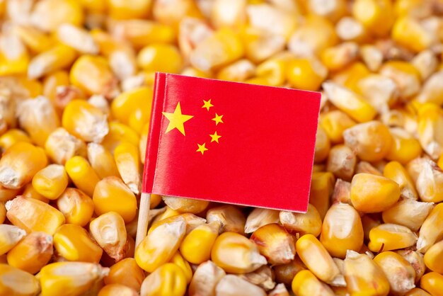 China está contribuyendo a “aplastar” el precio internacional del maíz para proteger a sus propios productores