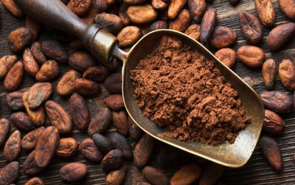 Claves “Boom” de precios del cacao se mantendrá en 2024: estas son las razones