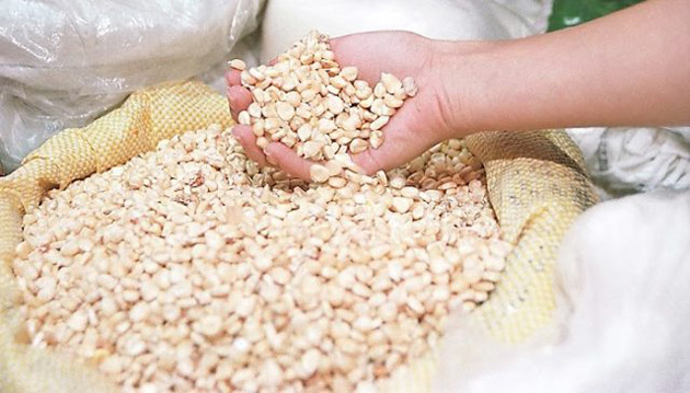 La Gmas ha incautado 20.5 toneladas de maíz blanco en el estado Yaracuy