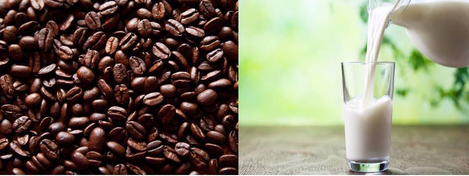 Gobierno discute bajar precios de café y leche en el marco del ‘Plan 50’
