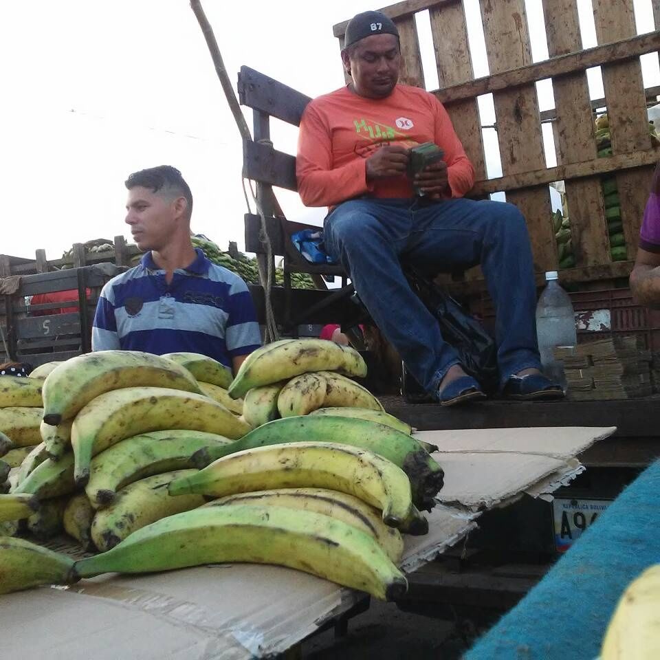 Productores de plátano del Zulia reciben financiamientos