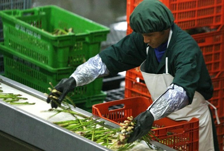 Perú espera exportar este año 8.000 millones de dólares en alimentos