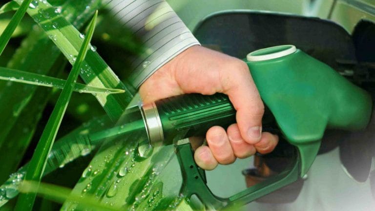 Bolivia da luz verde al bioetanol para sustituir la importación de aditivos