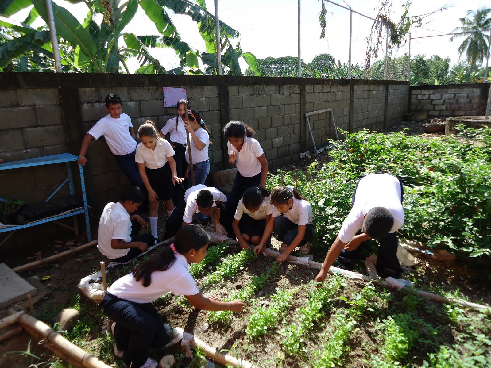 Maduro insiste en crear huertos escolares para “nueva cultura productiva”