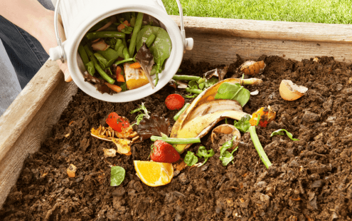 Experto asegura que el compostaje es la solución para la basura y moscas