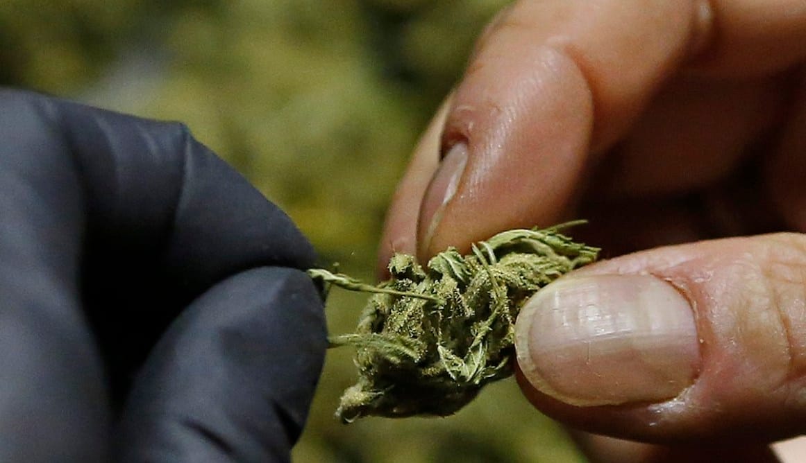 Una dosis diaria de marihuana en la vejez podría prevenir la demencia