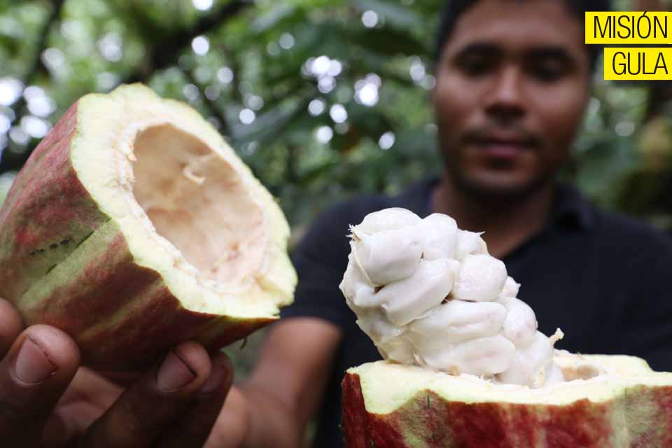 Productos agropecuarios venezolanos presentes en el mundo