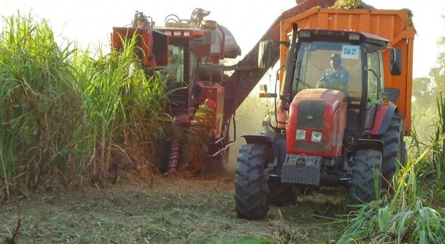 12.000 toneladas de caña de azúcar pierden agricultores en Cojedes