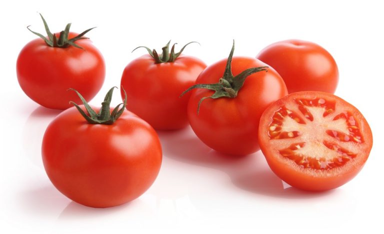 Inglaterra: Genes del tomate ayudarían a mejorar cultivos resistentes a sequías