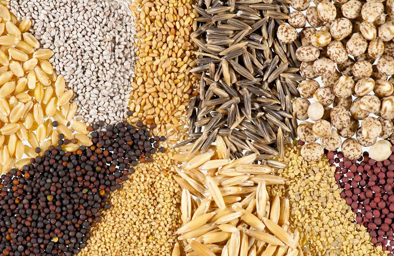 Protocolo para protección de granos reduce costos notablemente