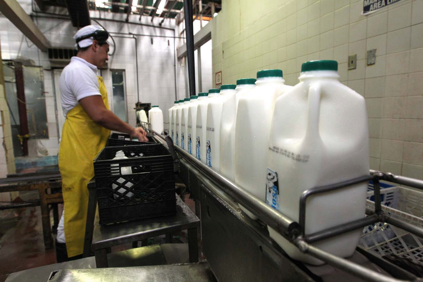Distorsión en precios de la leche solo se subsanaría mediante la dolarización