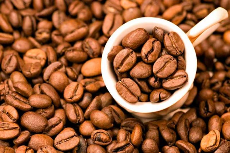 Costos del cultivo ahogan a los productores: Exigen elevar a 200 dólares precio del quintal de café