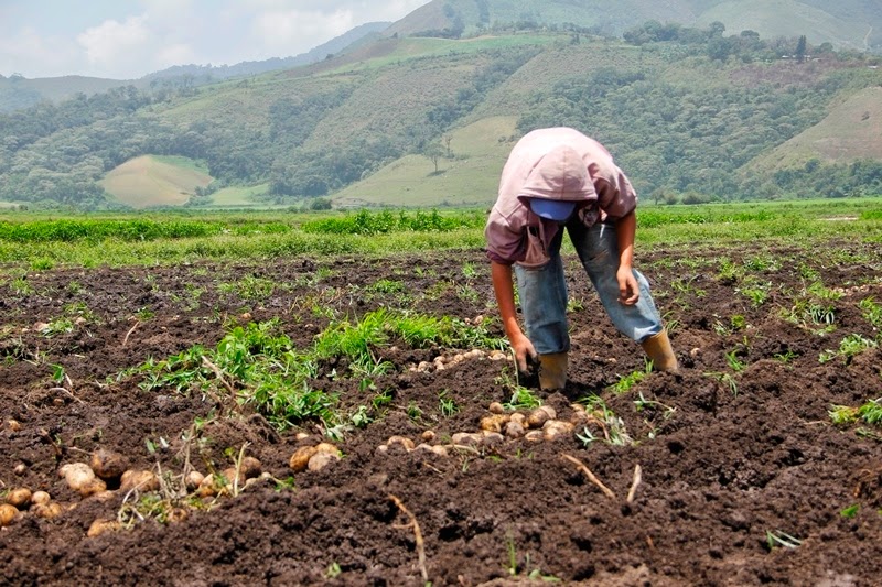 Bloque Agroalimentario pide seguridad jurídica y personal para garantizar producción en zonas rurales
