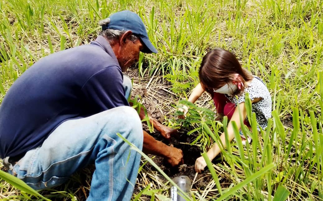 Día Mundial de la Tierra: Con siembra de plantas emprenden recuperación del parque Musiú Carmelo