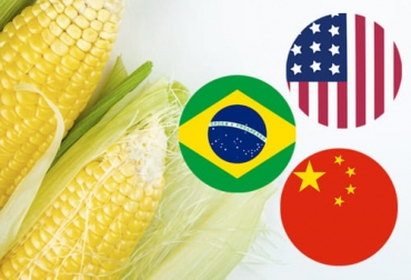 ¿Qué papel juegan EE. UU., China y Brasil en la subida del precio del maíz?
