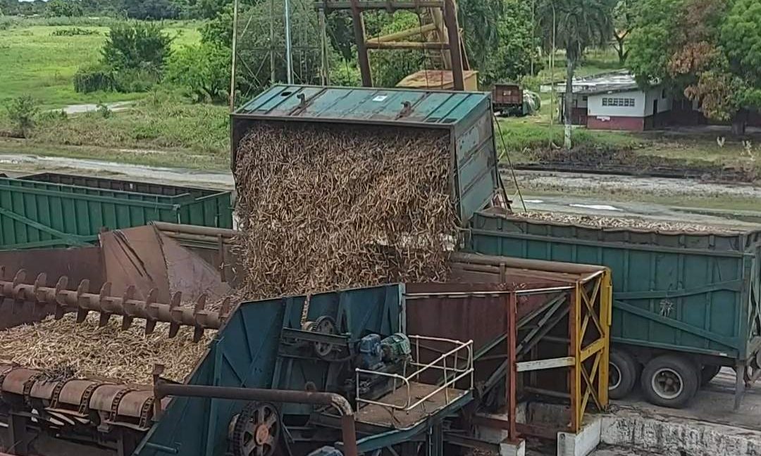 AZÚCAR / Reactivada al 100% tras un año de reparaciones: Industria Santa Elena inicia recepción de la zafra