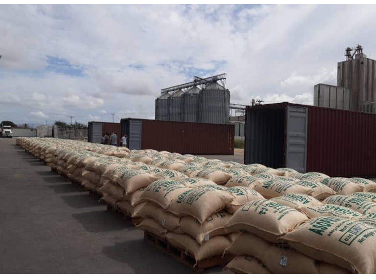 Cuarta exportación de café desde Lara hacia los Estados Unidos