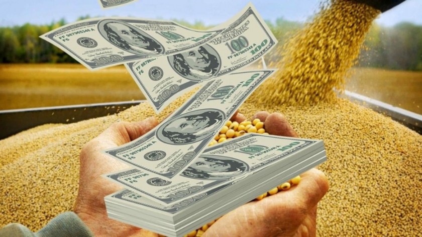 SVIAA: Sector agrícola requiere US$700 millones en créditos para garantizar el incremento de producción