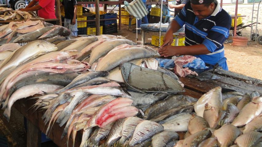 Así quedó la lista de precios del pescado para Semana Santa