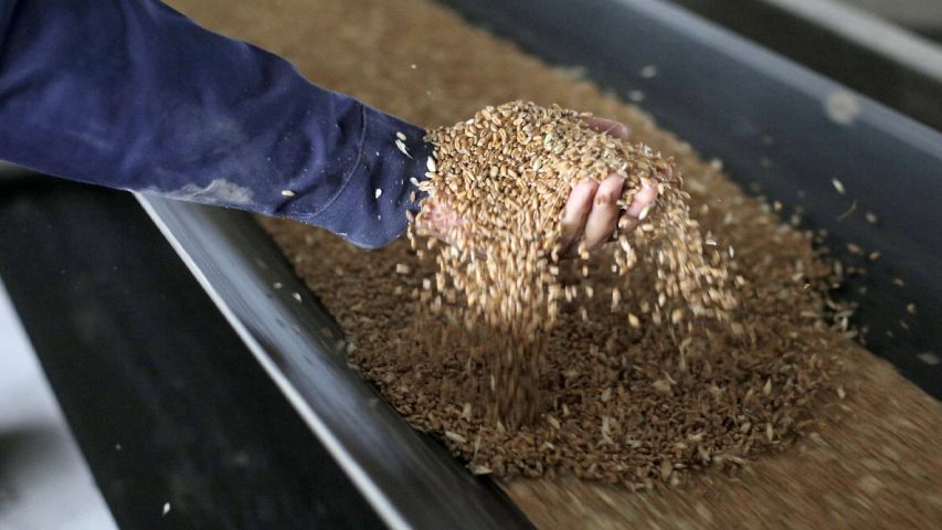 Ucrania no podrá exportar cereal por sus puertos al menos en seis meses