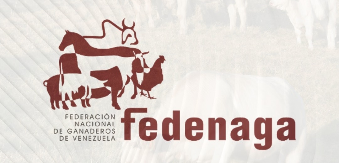 Fedenaga elegirá a su nueva junta directiva