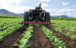 Carta Abierta al Señor Ministro de Agricultura,  Wilmar Castro Soteldo