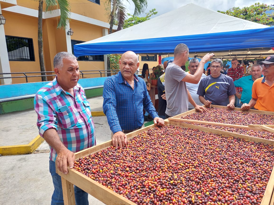Haciendas La Coromoto, La Torrealba, La Fortuna y Los Aguacates ganaron concurso de catación durante Festival del Café en Chabasquén