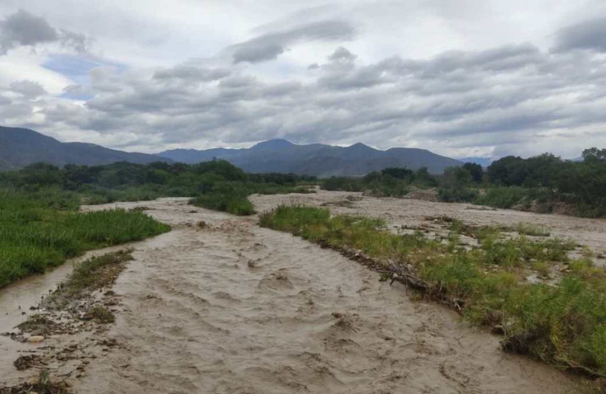 #RíoTáchiraEnvenenado: la destrucción de un ecosistema clave en nuestra frontera