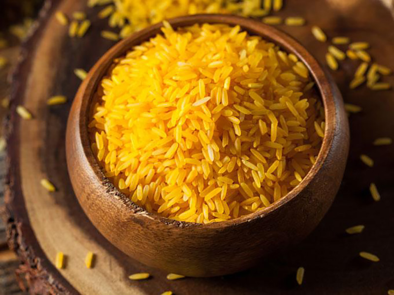 Organismo internacional de arroz buscará aprobación para el uso de Golden Rice en India