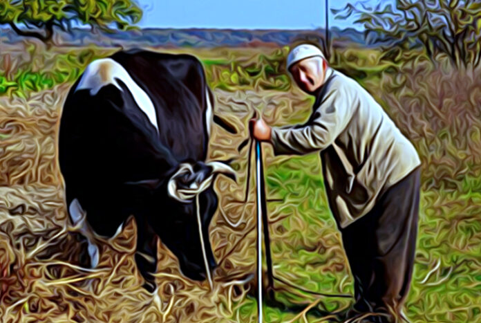 La bonita amistad de un toro y un ganadero / Jorge Euclides Ramírez