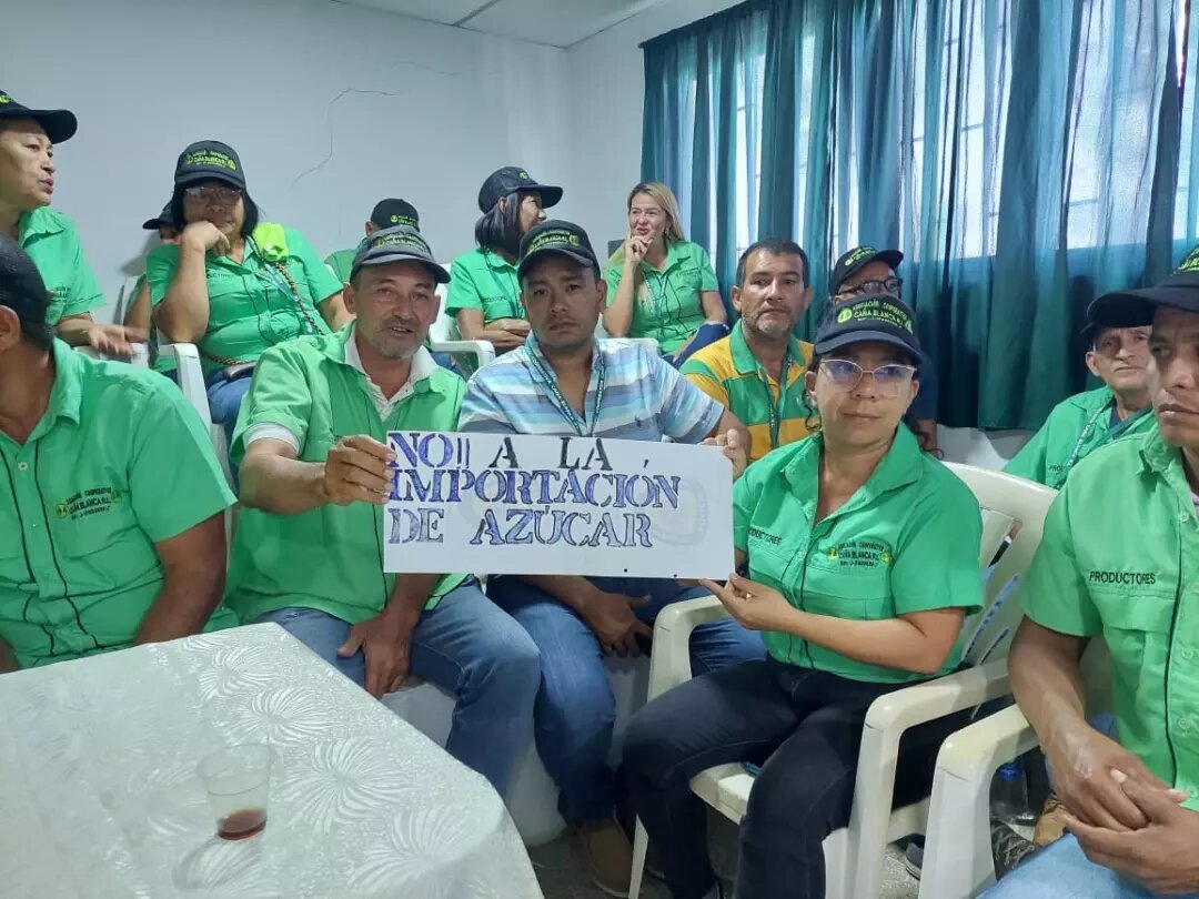 Cañicultores de Portuguesa denuncian que azúcar importada impide comercialización nacional