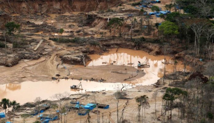 Utility Bidder: Venezuela perdió 108.290 has. anuales de bosques entre 2015 y 2020