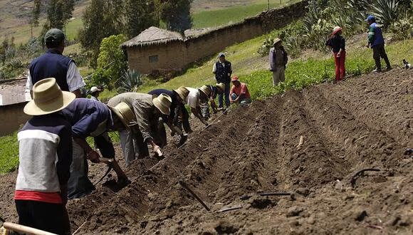 Perú: Sector agropecuario creció en primer bimestre del año