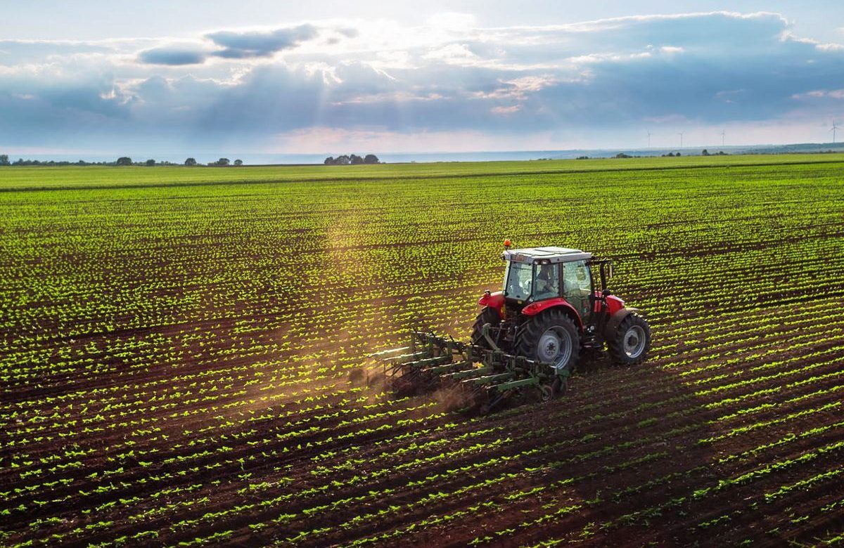 DATANÁLISIS: Opciones para la Agricultura en un Entorno económico Restrictivo