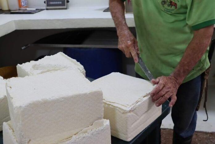 FEDENAGA: En Venezuela el producto lácteo de mayor consumo es el queso