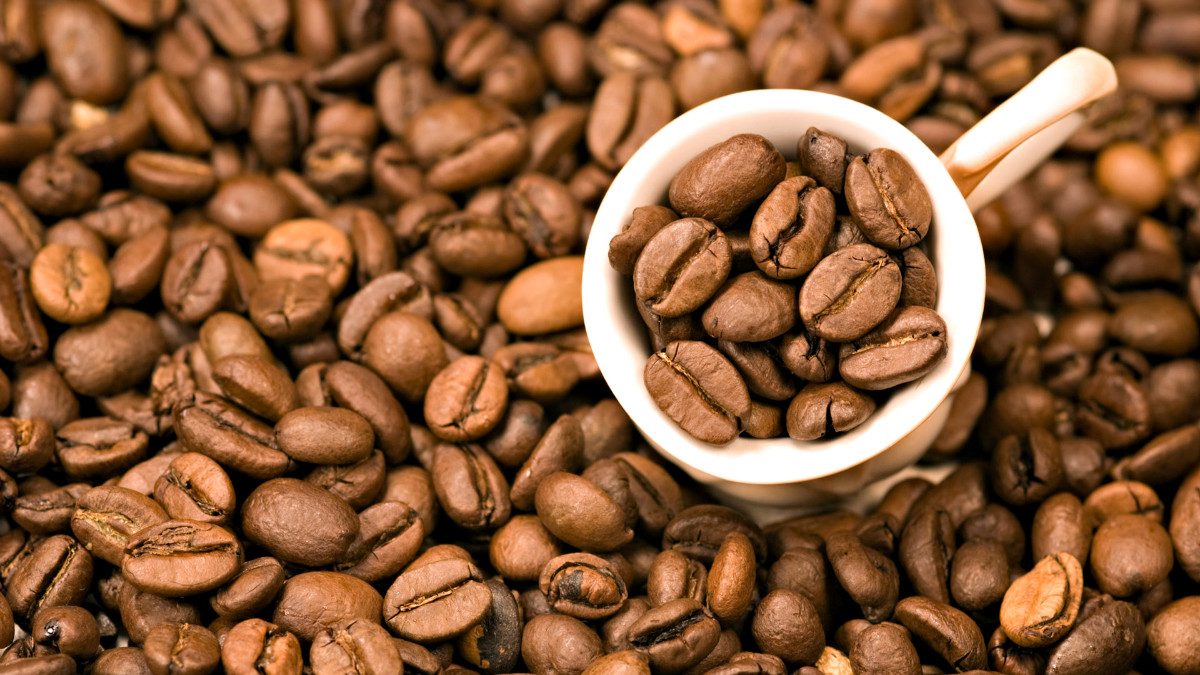 Mérida: Comenzó ciclo de formación para manejo de café orgánico en Santos Marquina