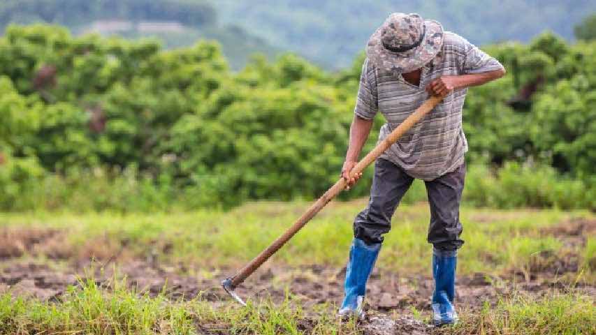Obligados a ceder el gobierno y su fiscal general ante el avance de la protesta y lucha justas de los dignos agricultores andinos / Alirio Rangel Díaz.