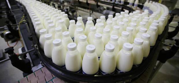 CAVILAC: solo se procesa 10% de leche del país por problemas de transporte