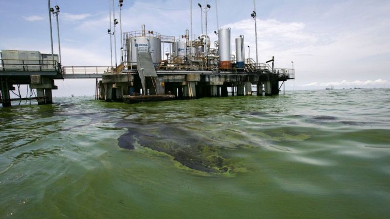 El Lago de Maracaibo ha adquirido un intenso color verde en algunas zonas debido a los derrames de petróleo y el crecimiento descontrolado de algas.