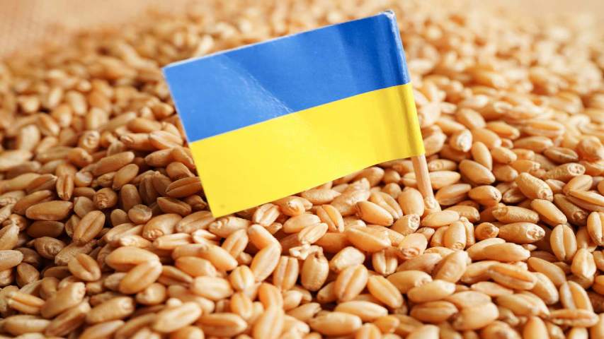 El Mediterráneo ve alto riesgo de crisis alimentaria sin cereal de Ucrania