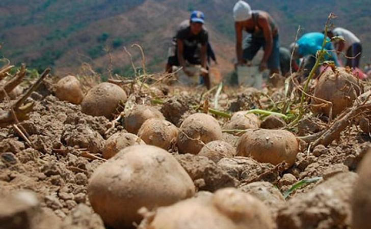 ZODI Mérida implementó plan para disminuir el contrabando agrícola