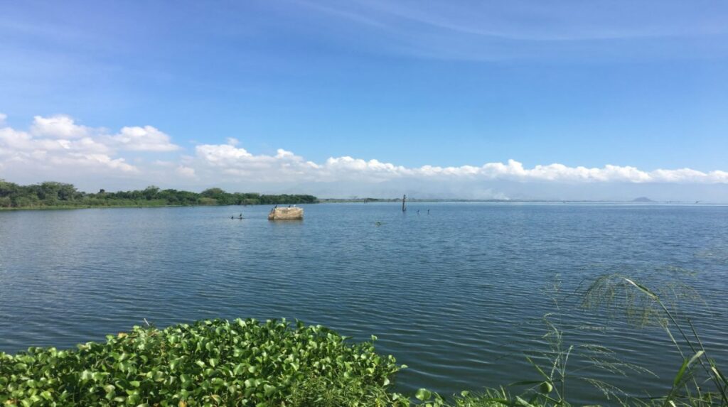 La crecida del Lago de Valencia es «el problema ambiental e hídrico más grave de Venezuela»