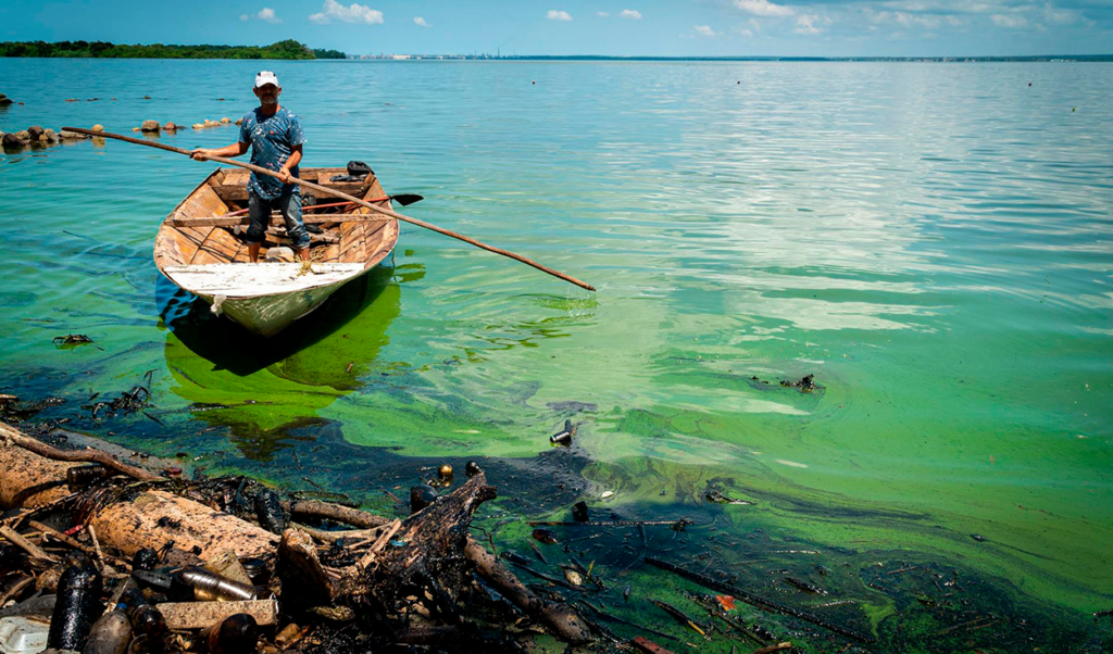 Ambientalista pide acciones «más reales» ante la «lenta» recuperación del Lago de Maracaibo