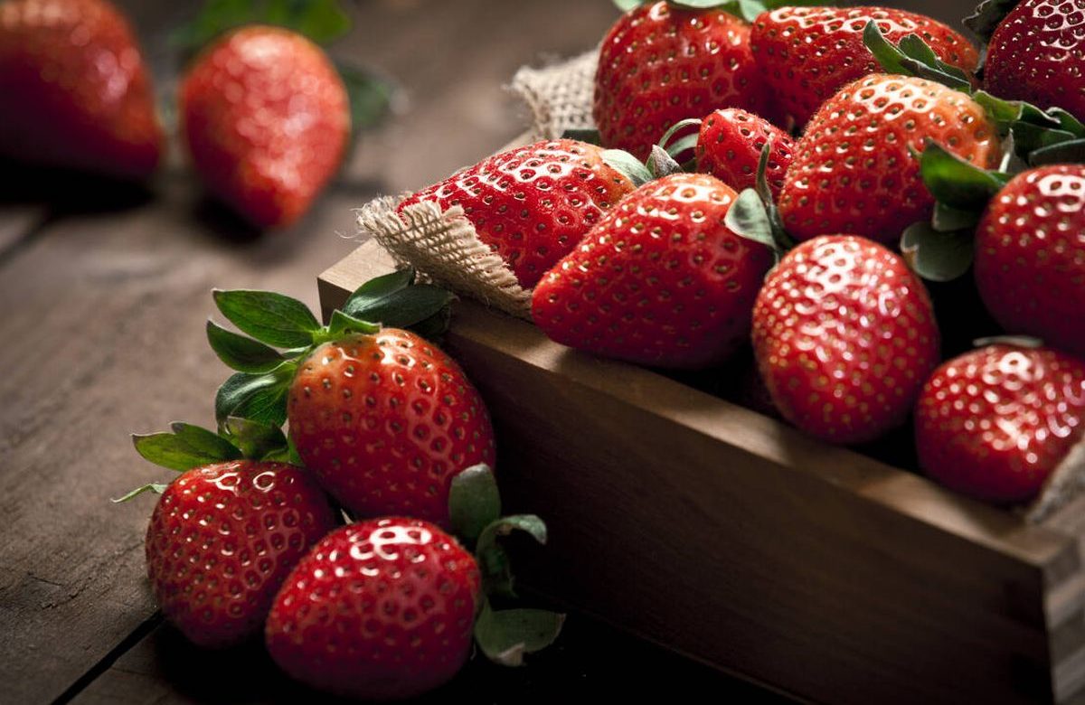 El consumo de fresas está asociado con el buen desarrollo cognitivo, según expertos