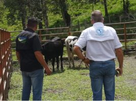 Visita de los organismos competentes a unidades de producción en los Andes