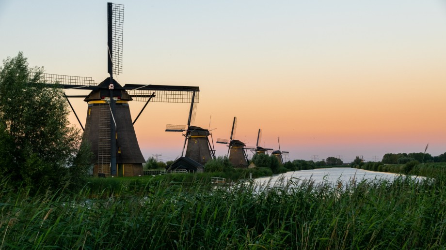 Países Bajos expropia 3000 granjas para cerrarlas y así reducir sus emisiones de gases