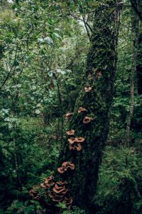 Fotografía de Obscure Space, 2002. Unsplash