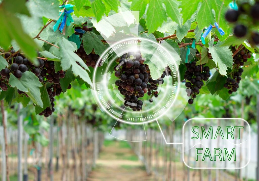 Para 2050, la demanda de alimentos aumentará un 70%