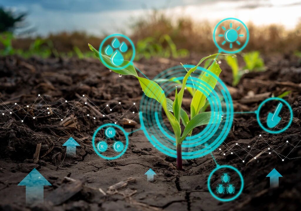 La agricultura de precisión es una estrategia de gestión de recursos agrícolas