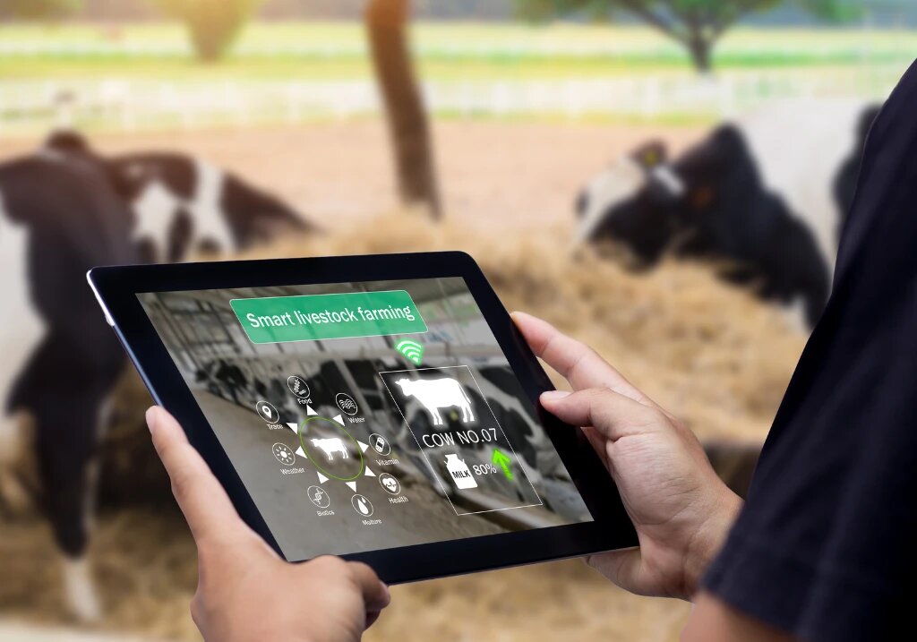 Los sistemas de limpieza automatizados eliminan los desechos